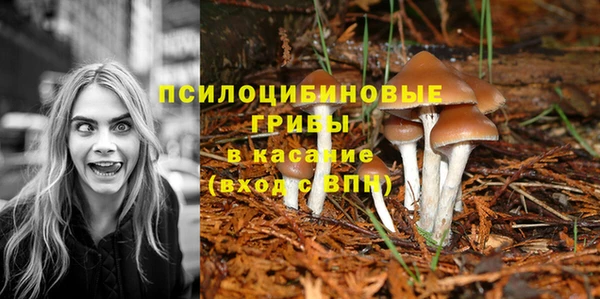 таблы Алзамай