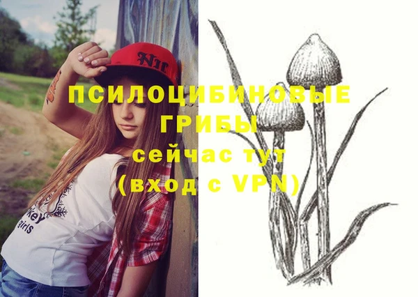 MDMA Premium VHQ Алексин