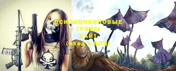 амфетамин Алексеевка