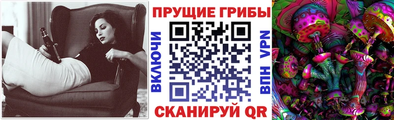 omg сайт Муром Псилоцибиновые грибы Psilocybe